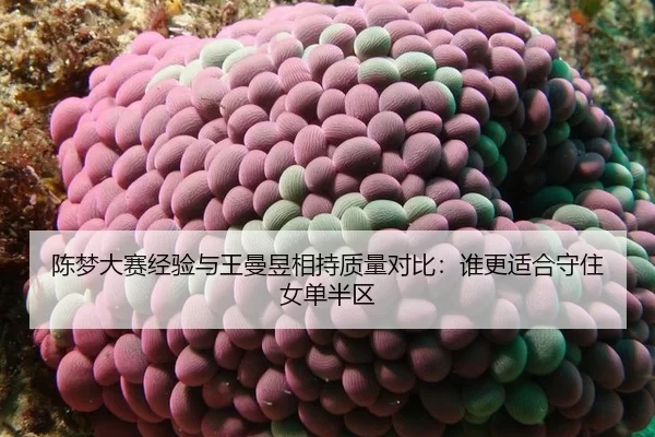 chen-meng-da-sai-jing-yan-yu-wang-man-yu-xiang-chi-zhi-liang-dui-bi-shui-geng-shi-he-shou-zhu-nv-dan-ban-qu-2-620.jpg