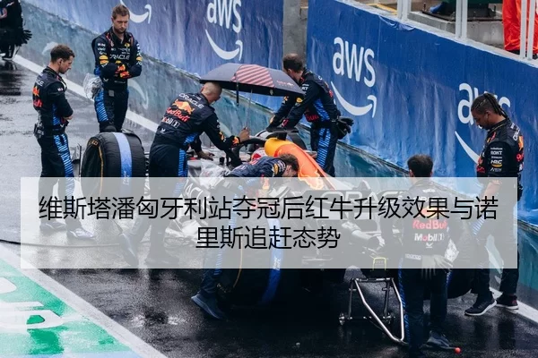 维斯塔潘匈牙利站夺冠后红牛升级效果与诺里斯追赶态势